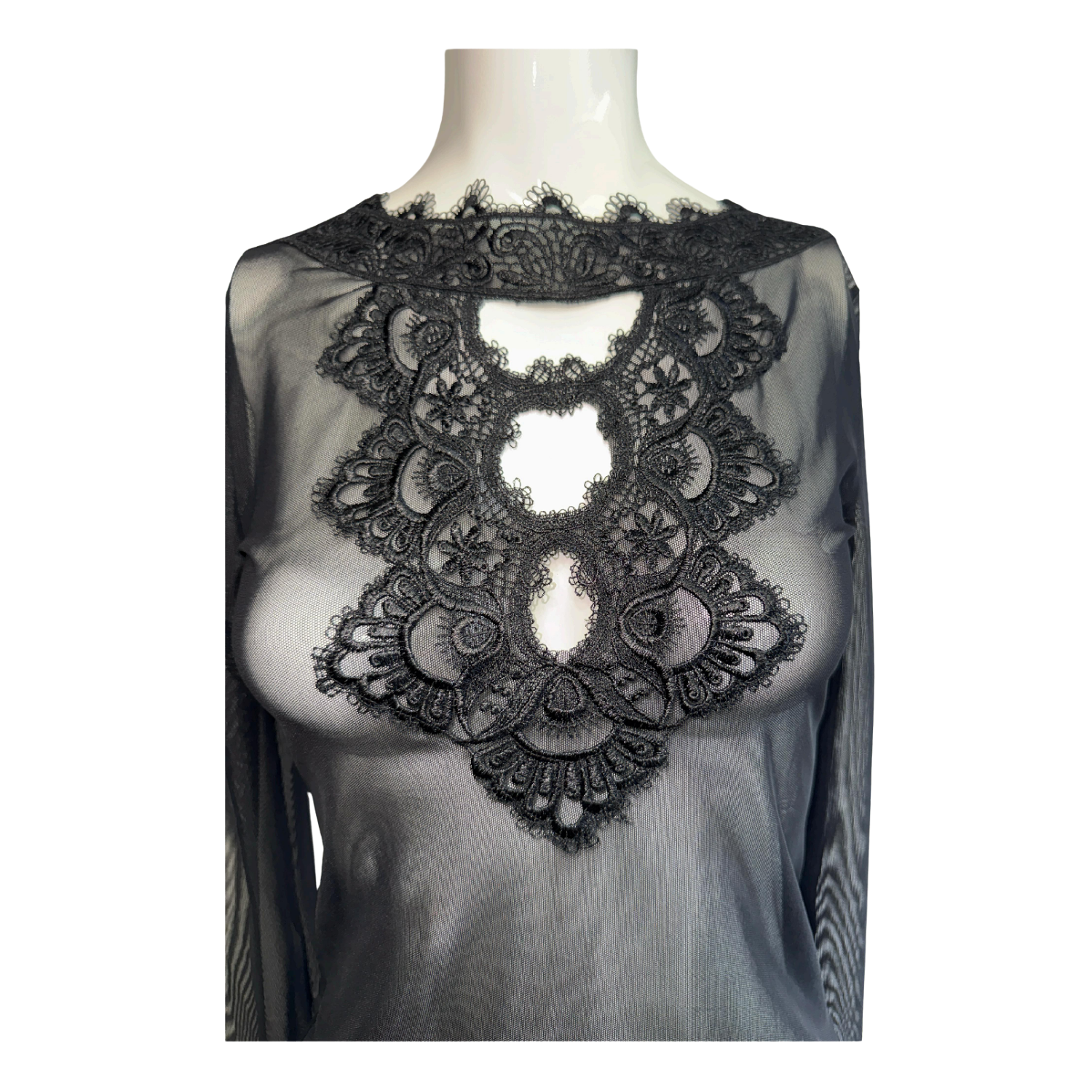 Satore Ferreira Embroidered Sheer Tulle Blouse